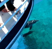 Pelican Charters - Kingaroy Accommodation
