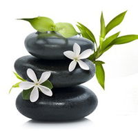 Tea House Spa Sauna
