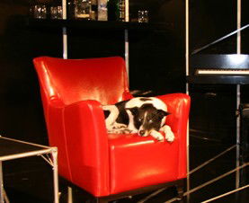 Woolloomooloo NSW Kingaroy Accommodation