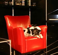 Old Fitzroy Theatre - Kingaroy Accommodation