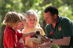 Glandore SA Kingaroy Accommodation