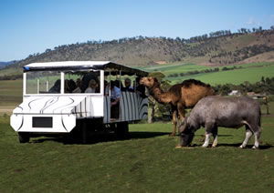 Zoo Doo Wildlife Park - Kingaroy Accommodation 2