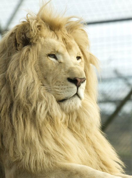Zoo Doo Wildlife Park - Kingaroy Accommodation 3