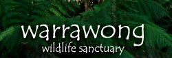 Warrawong Wildlife Park - Kingaroy Accommodation 0
