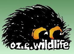 OZe Wildlife - Kingaroy Accommodation 0