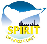 Spirit of Gold Coast Whale Watching - Kingaroy Accommodation