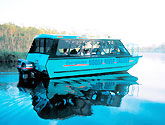 Noosa Everglades Discovery - Kingaroy Accommodation 1