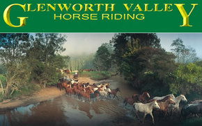 Peats Ridge NSW Kingaroy Accommodation