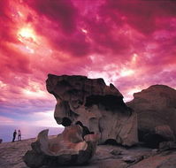 Kangaroo Island Adventure Tour 2 day/1 night - Kingaroy Accommodation