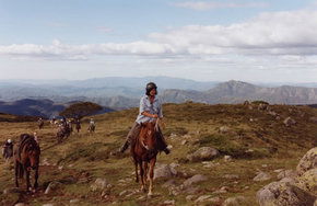 High Country Horses - Kingaroy Accommodation 0
