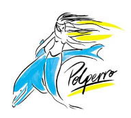 Polperro Dolphin Swims - Kingaroy Accommodation 0