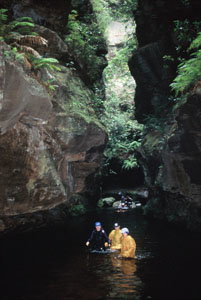 High And Wild Mountain Adventures - Kingaroy Accommodation 1