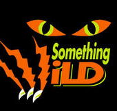 Something Wild - Kingaroy Accommodation