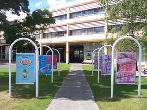 Cadbury Chocolate Factory Tour - Kingaroy Accommodation 2