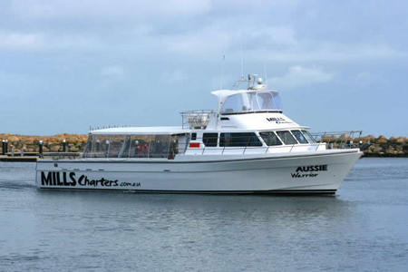 Mills Charters Fishing And Whale Watch Cruises - Kingaroy Accommodation 1