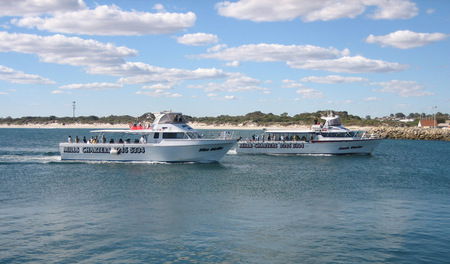 Mills Charters Fishing And Whale Watch Cruises - Kingaroy Accommodation 2