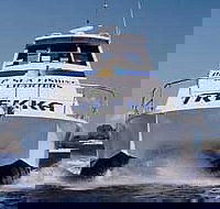 Sunshine Coast Fishing Charters - Kingaroy Accommodation