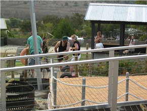 Magill SA Kingaroy Accommodation