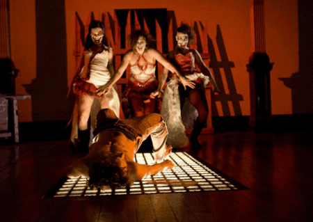 Zen Zen Zo Physical Theatre - Kingaroy Accommodation 1
