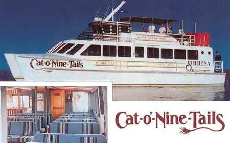 Cat O' NineTails - Kingaroy Accommodation 1