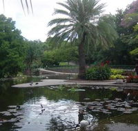 Brisbane City Botanic Gardens - Kingaroy Accommodation