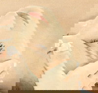 The Golden Door Spa  Health Club at Mirage Resort - Kingaroy Accommodation