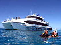 Silver Swift - Kingaroy Accommodation 0