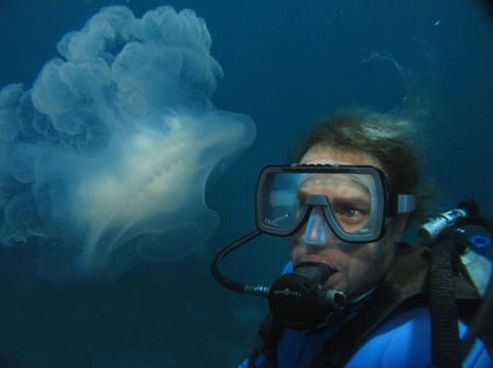 Silver Swift - Kingaroy Accommodation 2