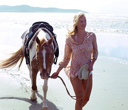 Ride The Beach - Kingaroy Accommodation 3