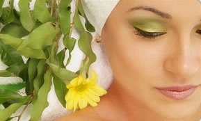 Indica Spa - Kingaroy Accommodation 1