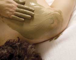 Alkaline Spa & Clinic - Kingaroy Accommodation 2