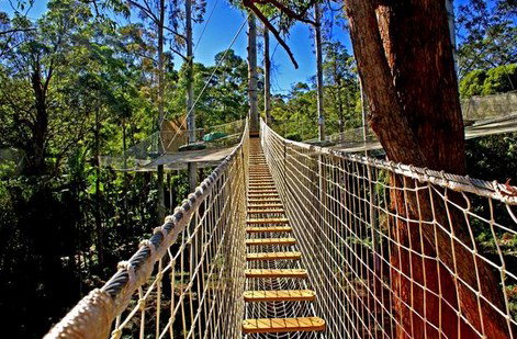 FreemanX Experience - Kingaroy Accommodation 2