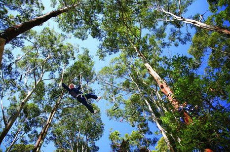 FreemanX Experience - Kingaroy Accommodation 5