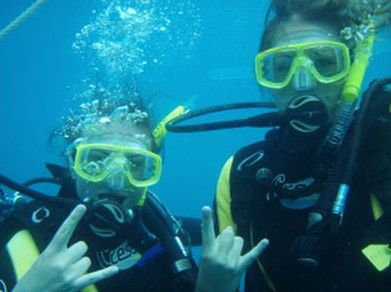 Snorkel Safari Brisbane - Kingaroy Accommodation 5