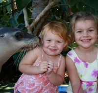 Dolphin Marine Magic - Kingaroy Accommodation