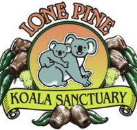 Lone Pine Koala Sanctuary - Kingaroy Accommodation