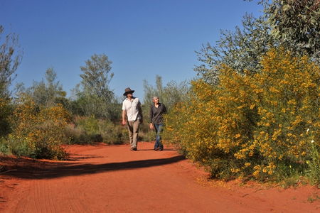 Alice Springs Desert Park - Kingaroy Accommodation 3