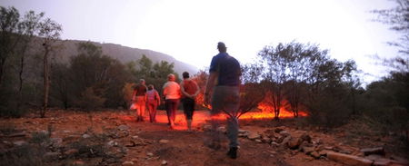 Alice Springs Desert Park - Kingaroy Accommodation 4