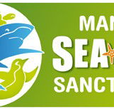 Manly SEA LIFE Sanctuary - Kingaroy Accommodation