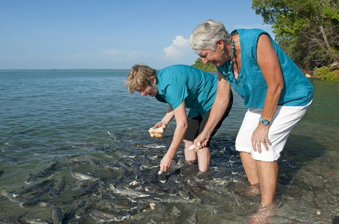 Aquascene Fish Feeding Sanctuary - Kingaroy Accommodation 0