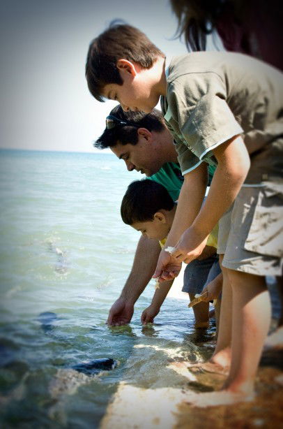 Aquascene Fish Feeding Sanctuary - Kingaroy Accommodation 3