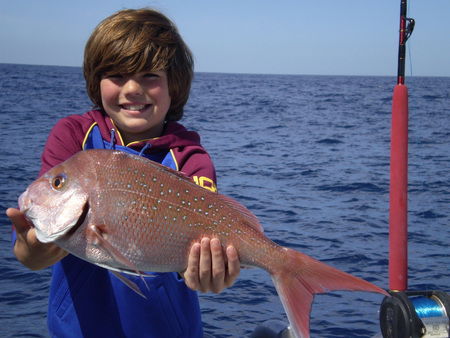 Mills Charters Fishing And Whale Watch Cruises - Kingaroy Accommodation 4