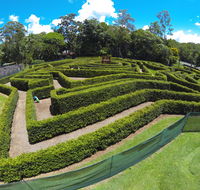 Bellingham Maze - Kingaroy Accommodation