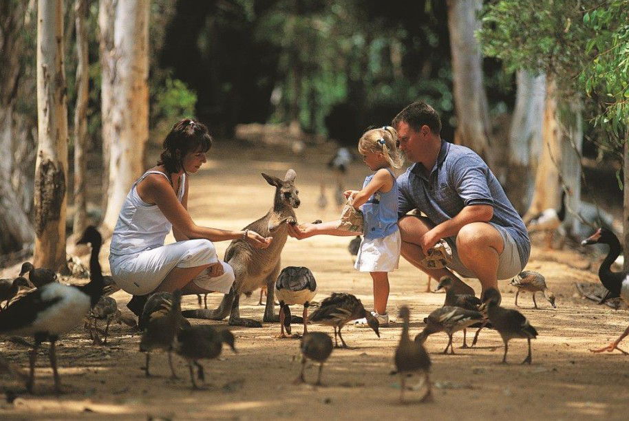 Idalia QLD Kingaroy Accommodation