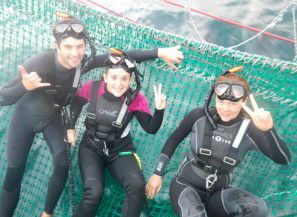Dolphin Swim Australia - Kingaroy Accommodation 7