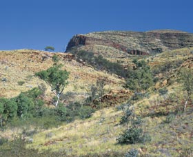  Kingaroy Accommodation