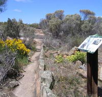 Christmas Rock Walk - Kingaroy Accommodation