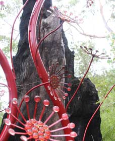 Crowea WA Kingaroy Accommodation
