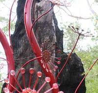 Understory Art In Nature - Kingaroy Accommodation