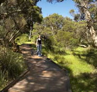 Leschenault Peninsula Conservation Park - Kingaroy Accommodation